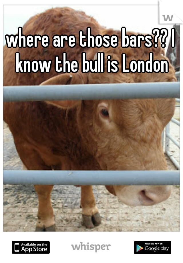 where are those bars?? I know the bull is London