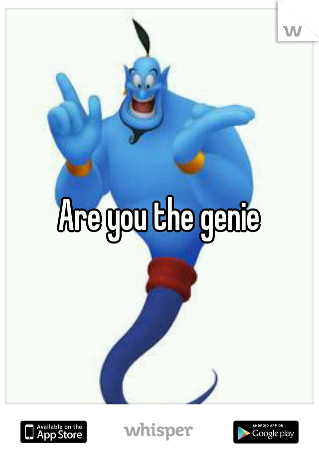 Are you the genie