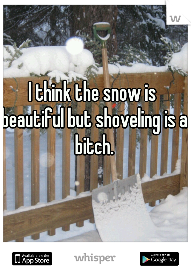 I think the snow is beautiful but shoveling is a bitch.