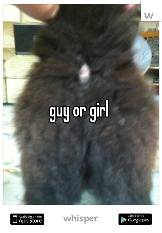 guy or girl 