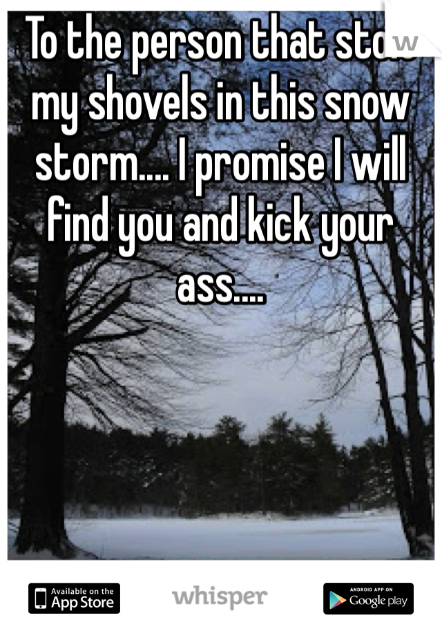 To the person that stole my shovels in this snow storm.... I promise I will find you and kick your ass.... 