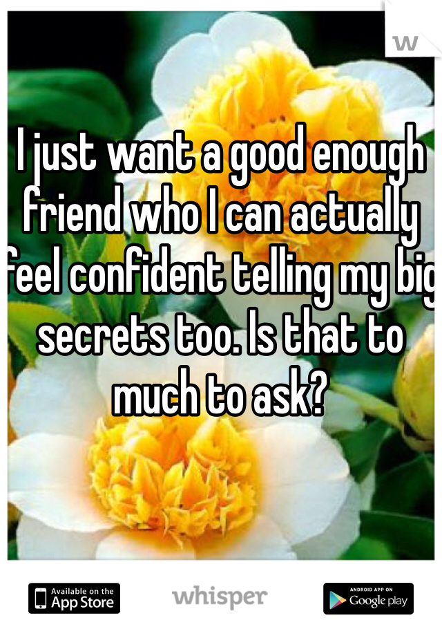 

I just want a good enough friend who I can actually feel confident telling my big secrets too. Is that to much to ask?
