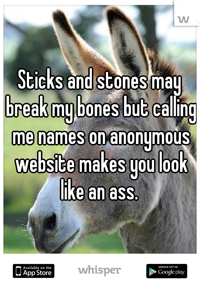 Sticks and stones may break my bones but calling me names on anonymous website makes you look like an ass. 
