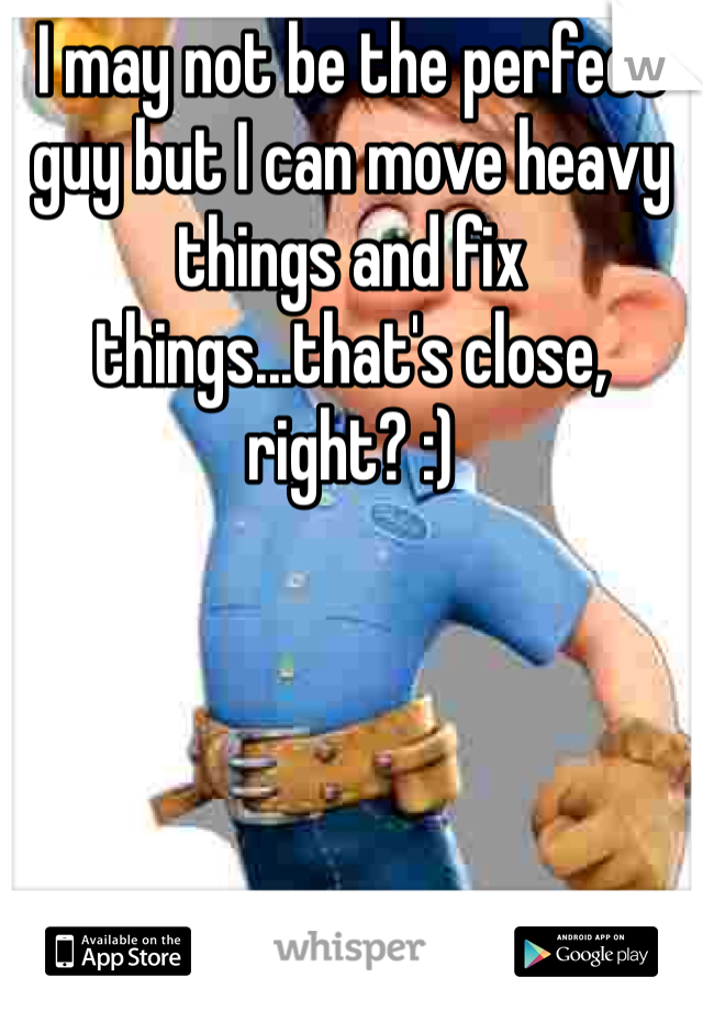I may not be the perfect guy but I can move heavy things and fix things...that's close, right? :)