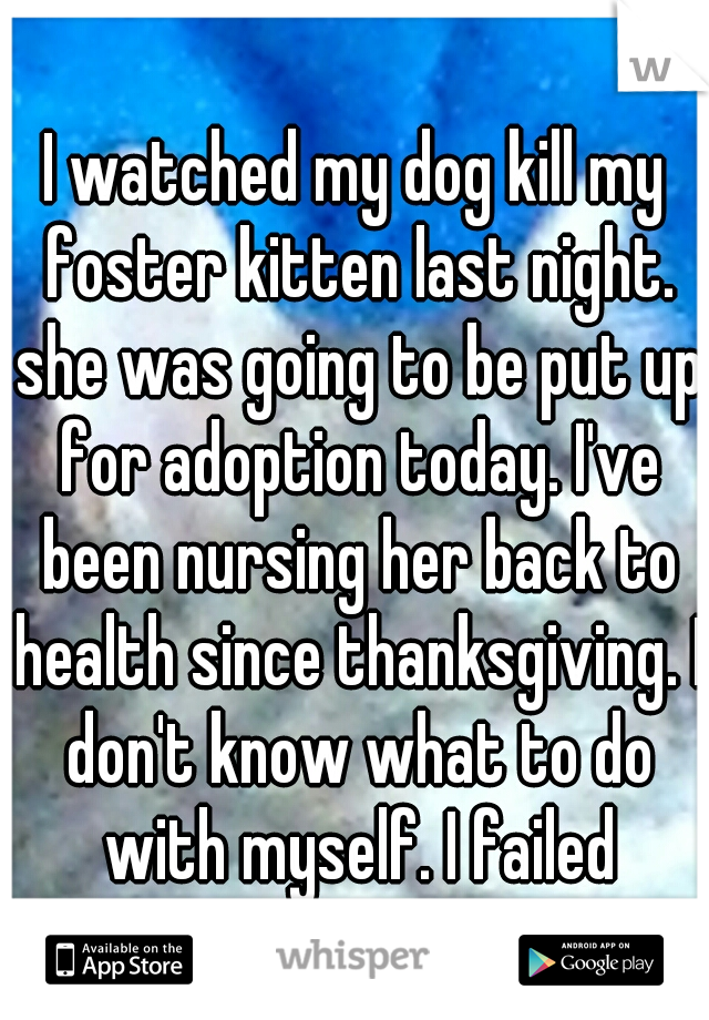 I watched my dog kill my foster kitten last night. she was going to be put up for adoption today. I've been nursing her back to health since thanksgiving. I don't know what to do with myself. I failed