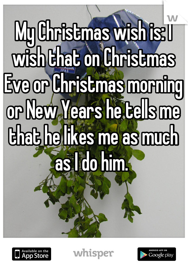 My Christmas wish is: I wish that on Christmas Eve or Christmas morning or New Years he tells me that he likes me as much as I do him. 