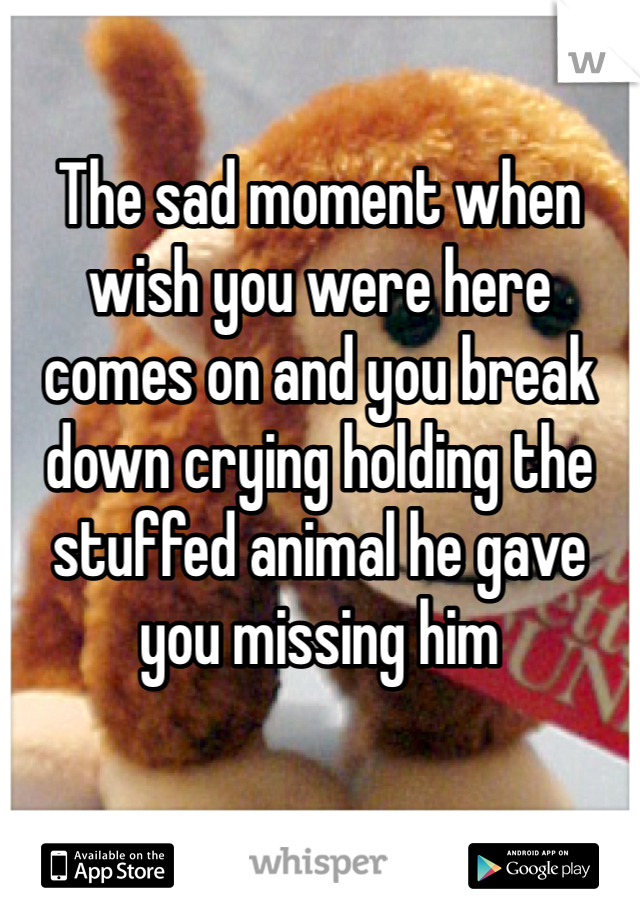The sad moment when wish you were here comes on and you break down crying holding the stuffed animal he gave you missing him 