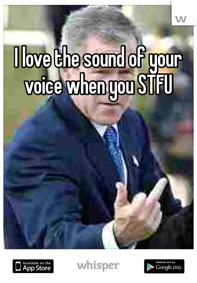 I love the sound of your voice when you STFU