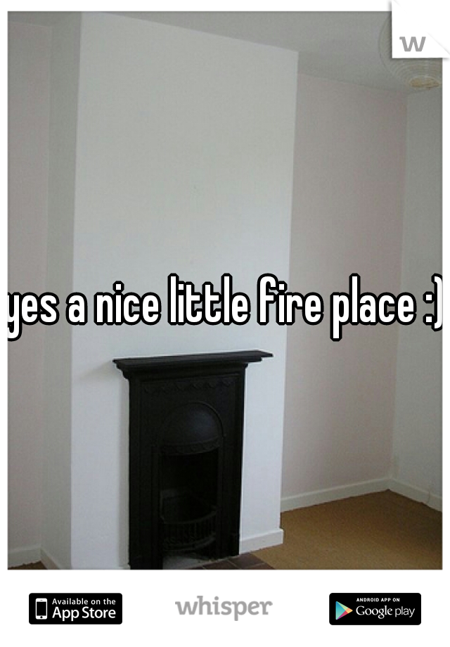 yes a nice little fire place :)