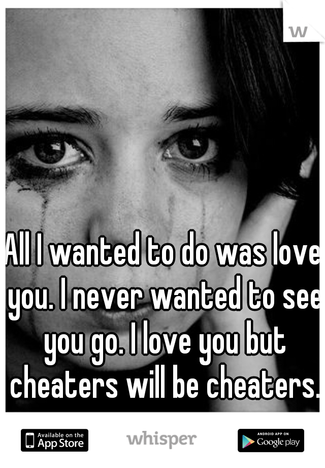 All I wanted to do was love you. I never wanted to see you go. I love you but cheaters will be cheaters. 