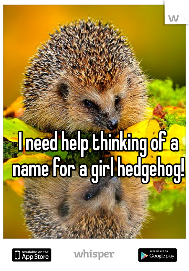 I need help thinking of a name for a girl hedgehog!