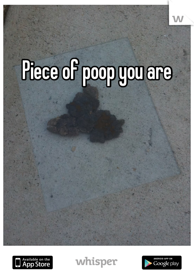 Piece of poop you are
