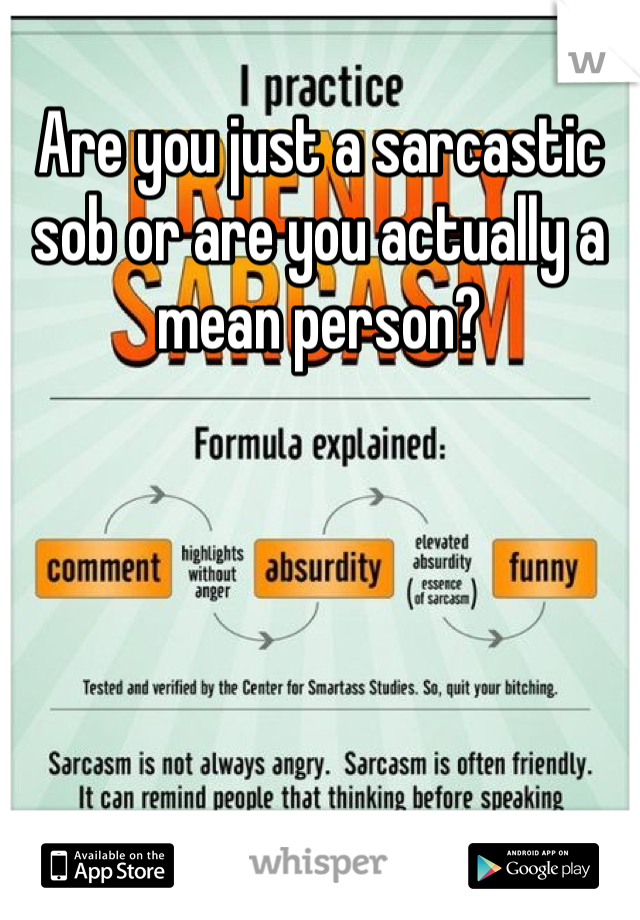 Are you just a sarcastic sob or are you actually a mean person?