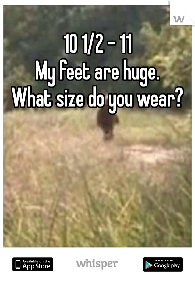 10 1/2 - 11
My feet are huge. 
What size do you wear?