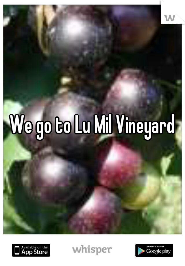 We go to Lu Mil Vineyard
