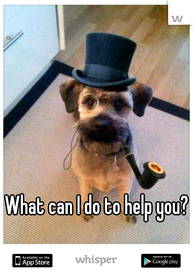 What can I do to help you?
