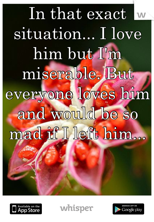 In that exact situation... I love him but I'm miserable. But everyone loves him and would be so mad if I left him...