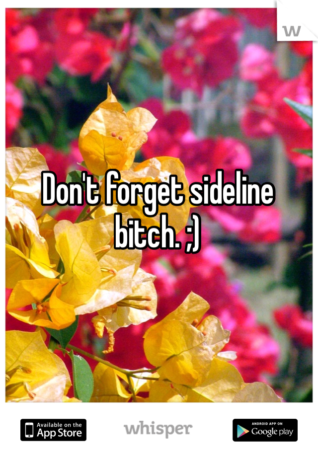 Don't forget sideline bitch. ;)