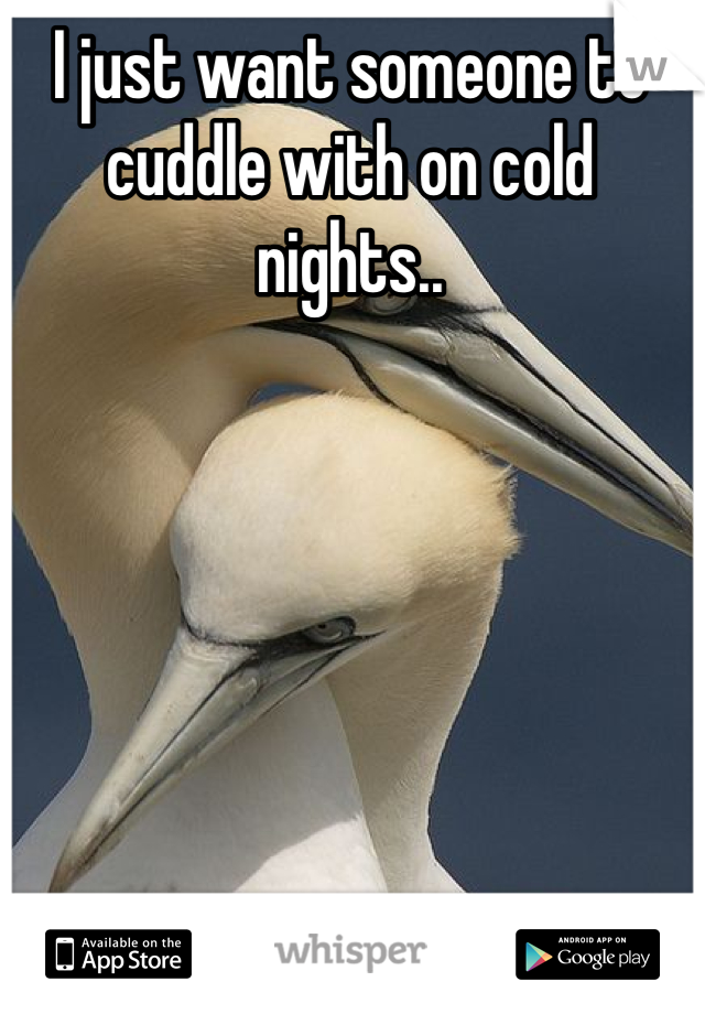 I just want someone to cuddle with on cold nights..