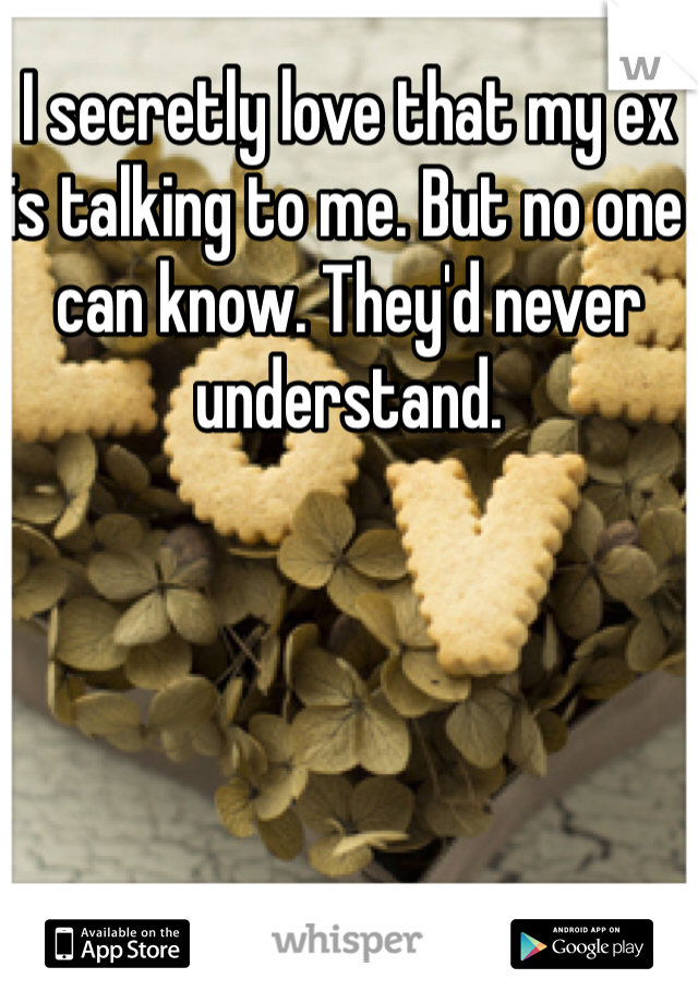 I secretly love that my ex is talking to me. But no one can know. They'd never understand. 