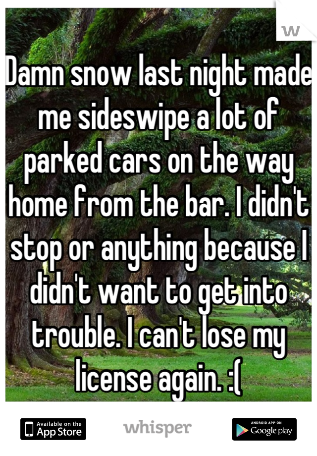 Damn snow last night made me sideswipe a lot of parked cars on the way home from the bar. I didn't stop or anything because I didn't want to get into trouble. I can't lose my license again. :(