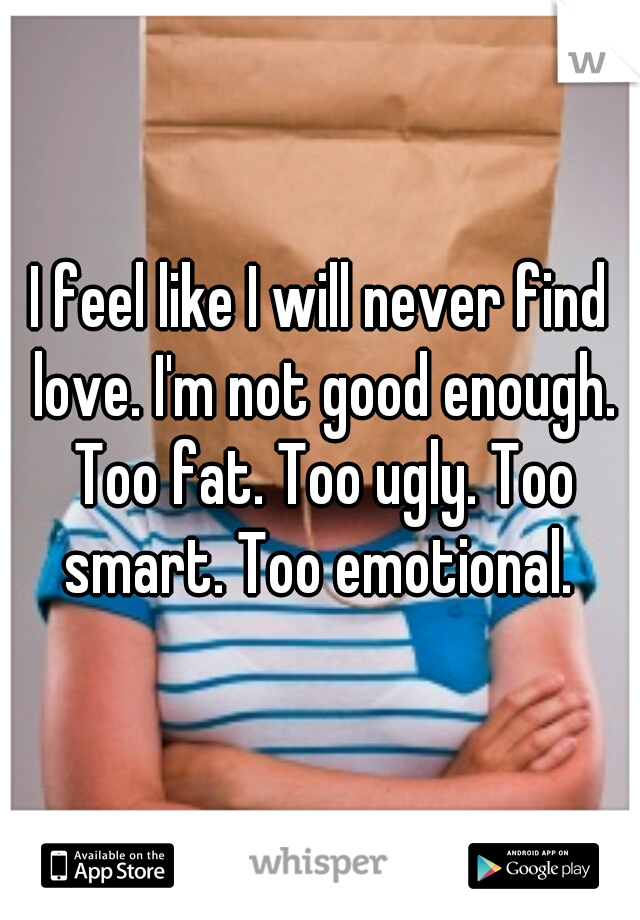 I feel like I will never find love. I'm not good enough. Too fat. Too ugly. Too smart. Too emotional. 