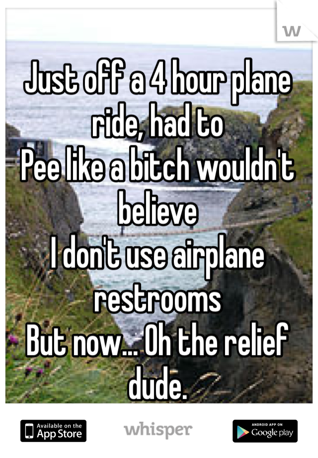 Just off a 4 hour plane ride, had to 
Pee like a bitch wouldn't believe
I don't use airplane restrooms 
But now... Oh the relief dude. 