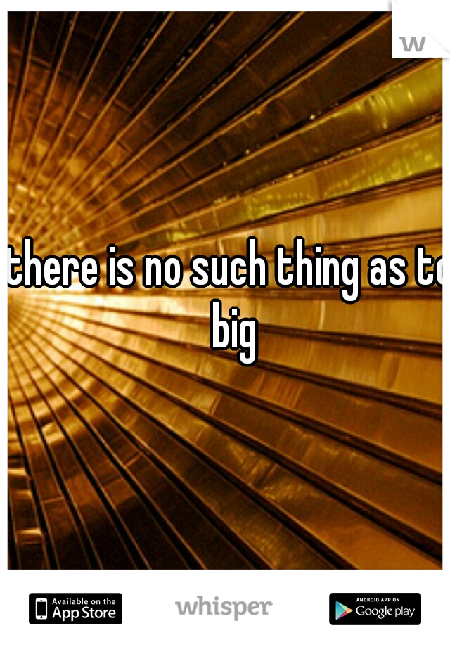 there is no such thing as to big