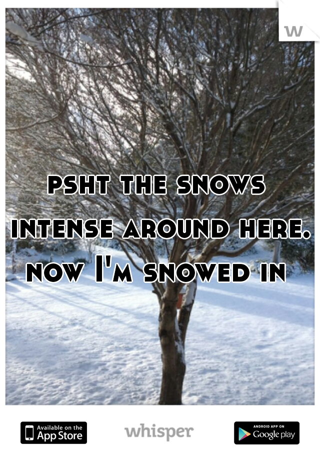 psht the snows intense around here. now I'm snowed in 