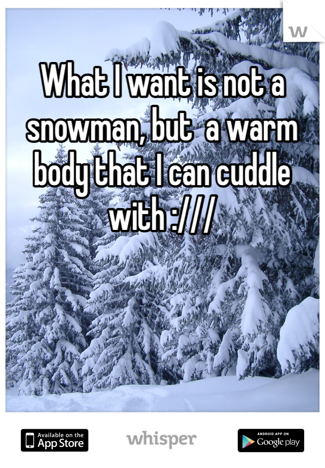 What I want is not a snowman, but  a warm body that I can cuddle with :///