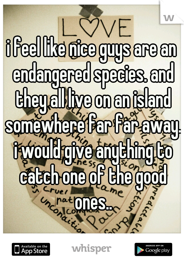 i feel like nice guys are an endangered species. and they all live on an island somewhere far far away. i would give anything to catch one of the good ones..