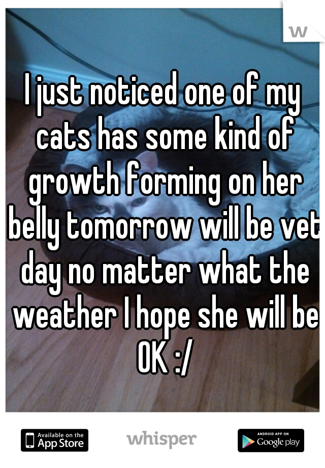 I just noticed one of my cats has some kind of growth forming on her belly tomorrow will be vet day no matter what the weather I hope she will be OK :/