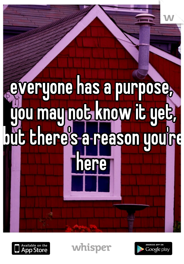 everyone has a purpose, you may not know it yet, but there's a reason you're here 