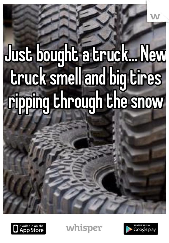 Just bought a truck... New truck smell and big tires ripping through the snow