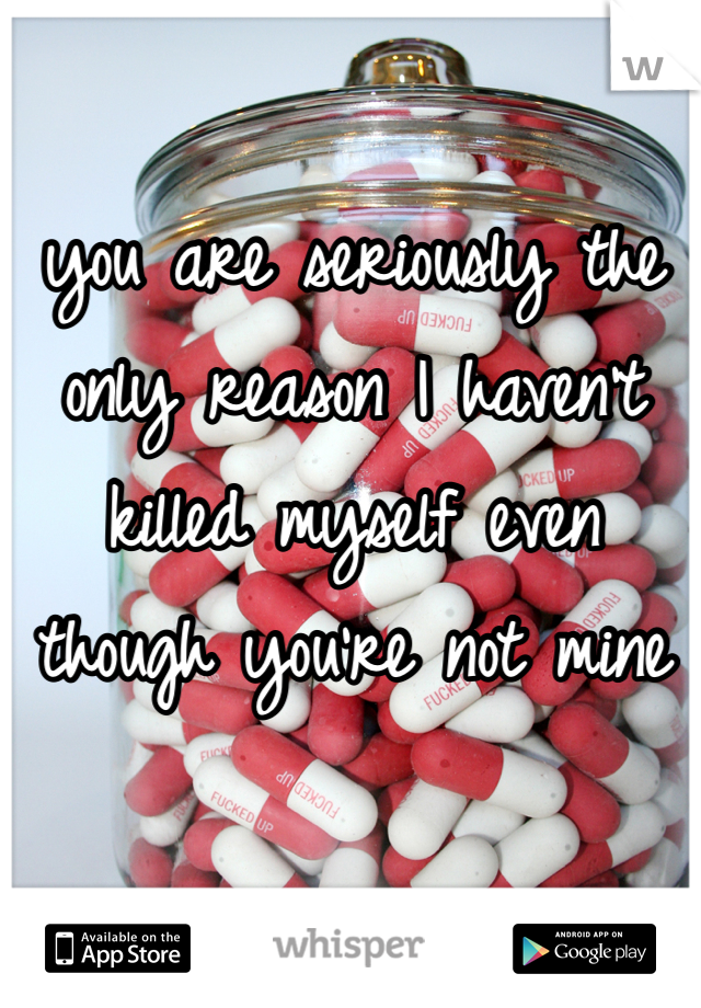 you are seriously the only reason I haven't killed myself even though you're not mine