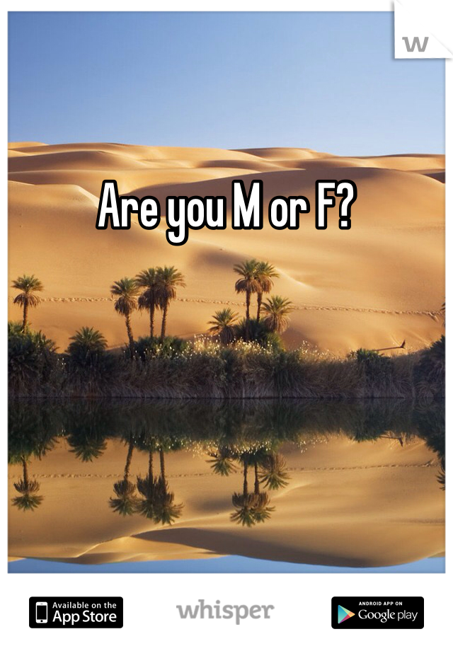 Are you M or F? 