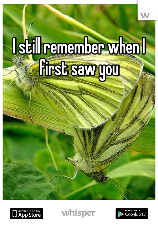 I still remember when I first saw you