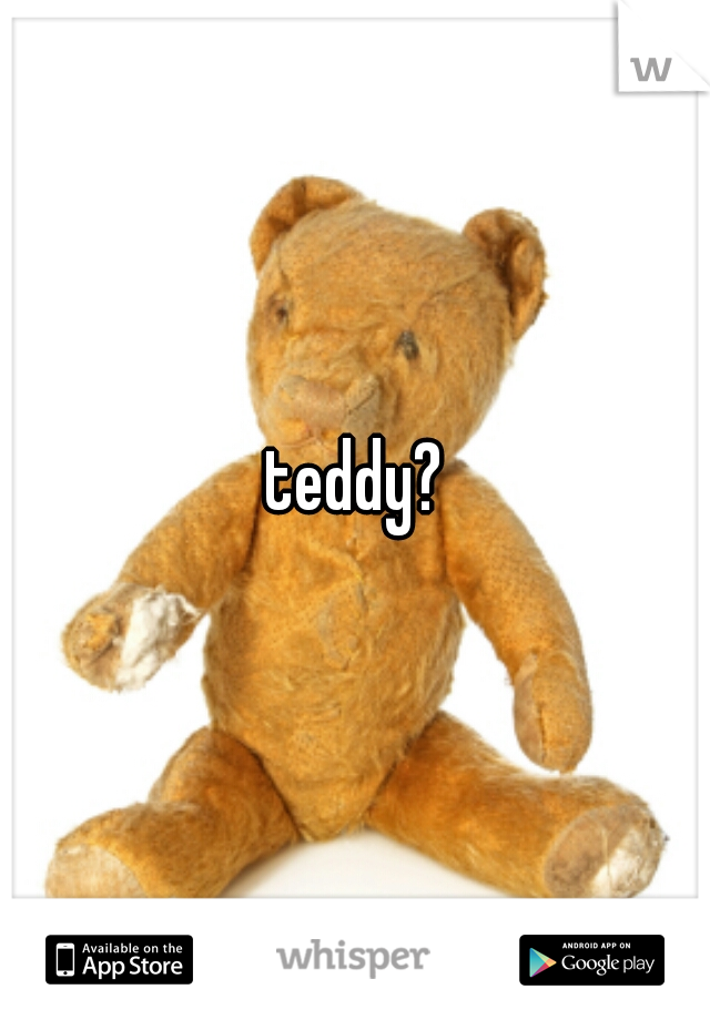 teddy?