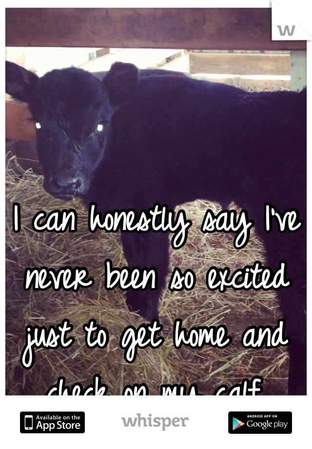 I can honestly say I've never been so excited just to get home and check on my calf.