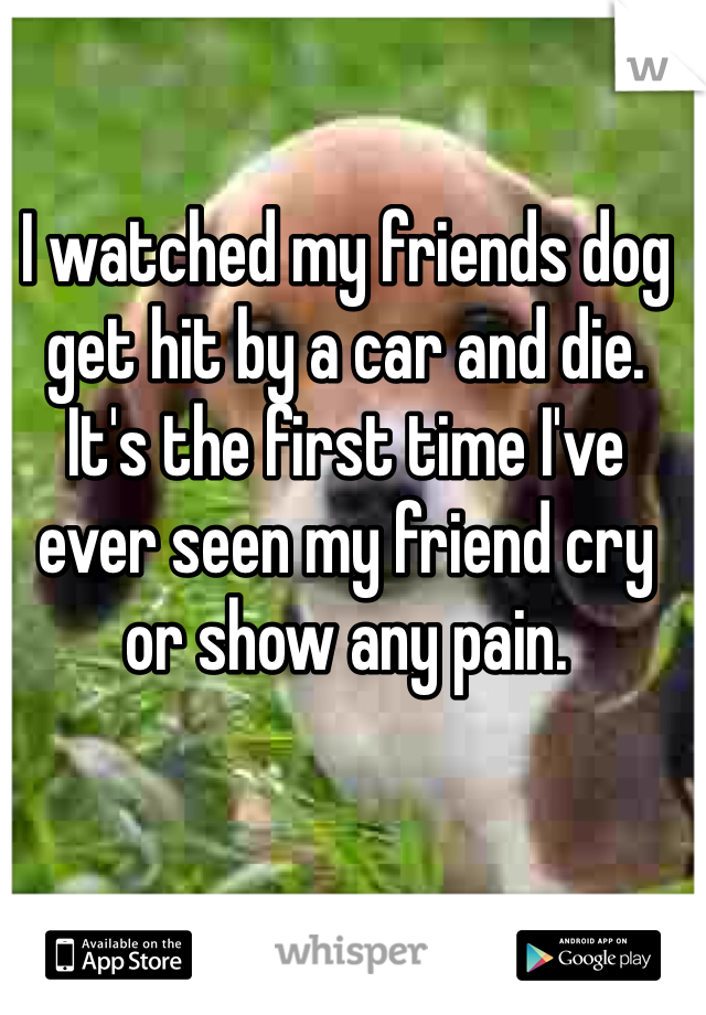 I watched my friends dog get hit by a car and die. It's the first time I've ever seen my friend cry or show any pain. 