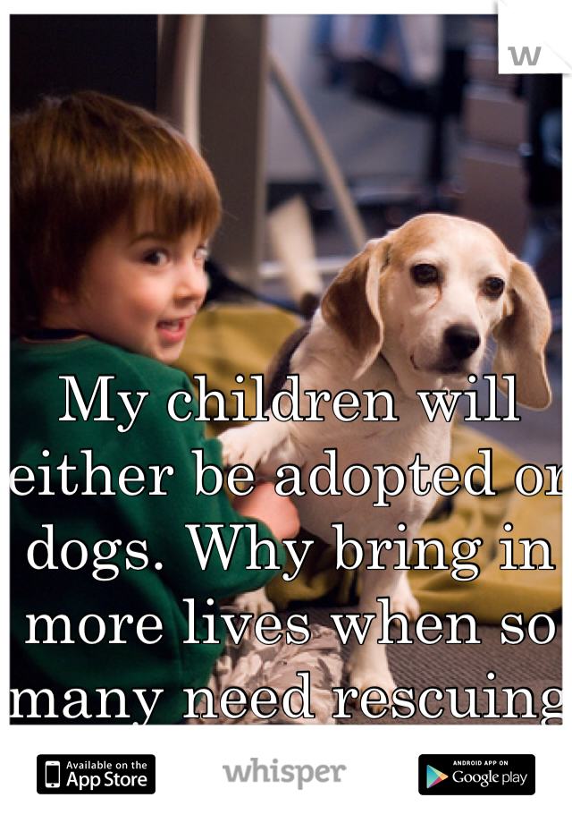 My children will either be adopted or dogs. Why bring in more lives when so many need rescuing 