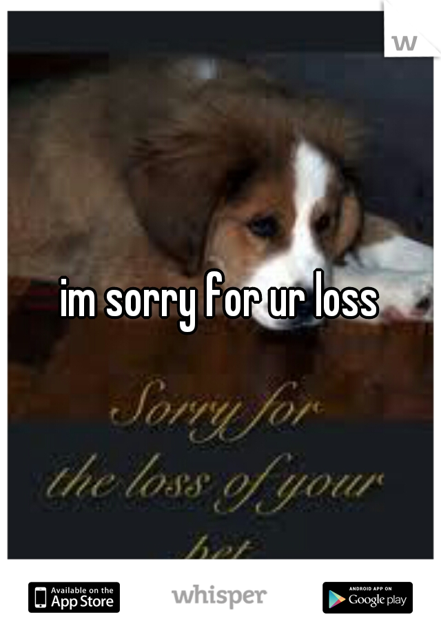 im sorry for ur loss