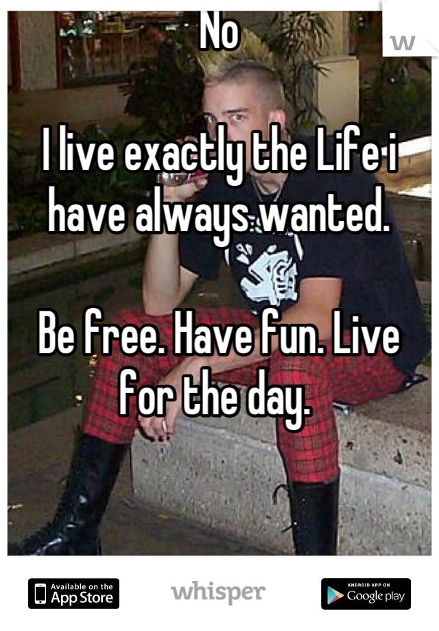 No

I live exactly the Life i have always wanted. 

Be free. Have fun. Live for the day. 