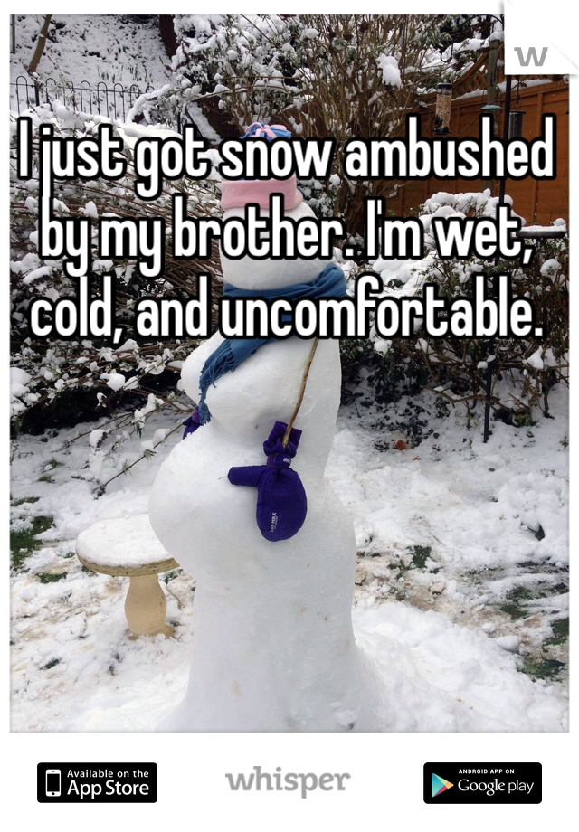 I just got snow ambushed by my brother. I'm wet, cold, and uncomfortable. 