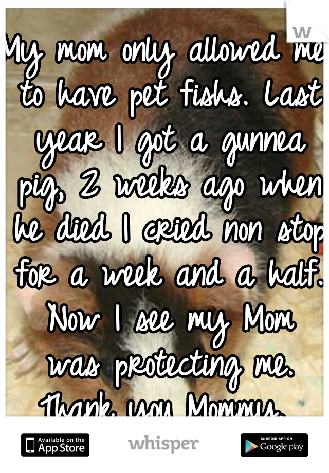 My mom only allowed me to have pet fishs. Last year I got a gunnea pig, 2 weeks ago when he died I cried non stop for a week and a half. Now I see my Mom was protecting me. Thank you Mommy. 
<3 