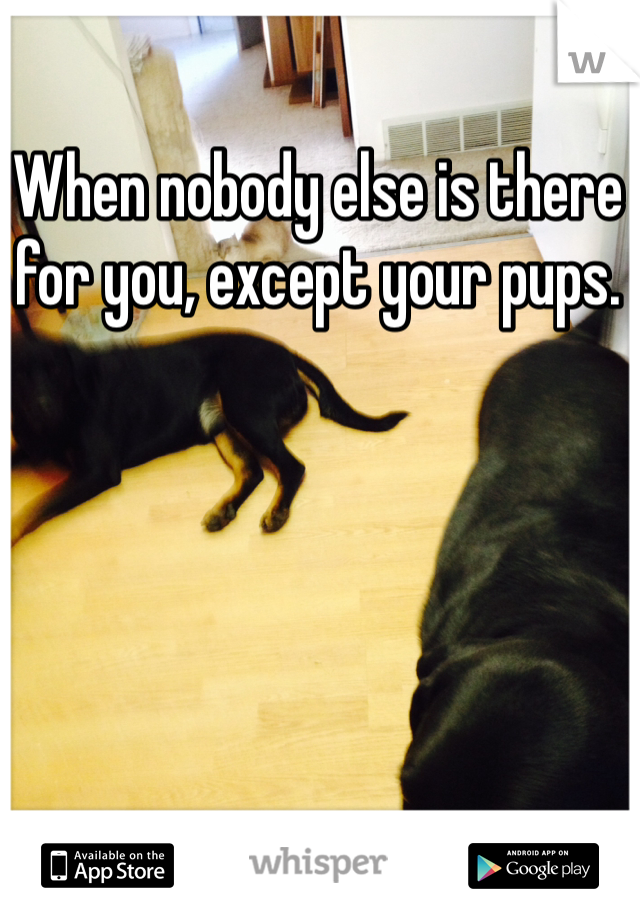 When nobody else is there for you, except your pups. 
