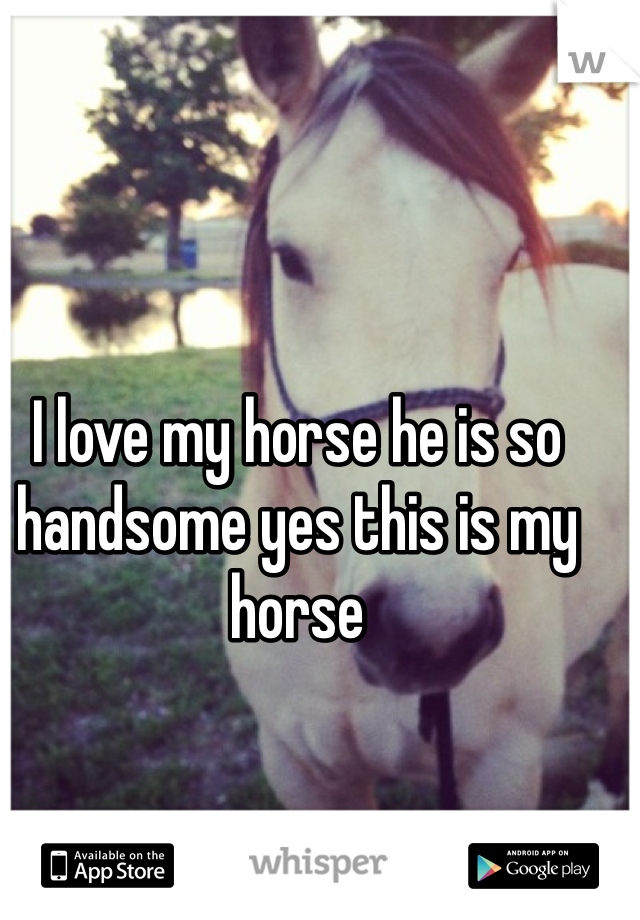 I love my horse he is so handsome yes this is my horse