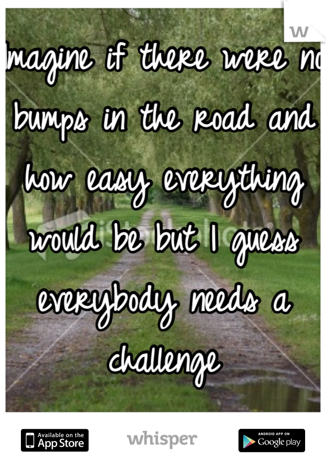 Imagine if there were no bumps in the road and how easy everything would be but I guess everybody needs a challenge