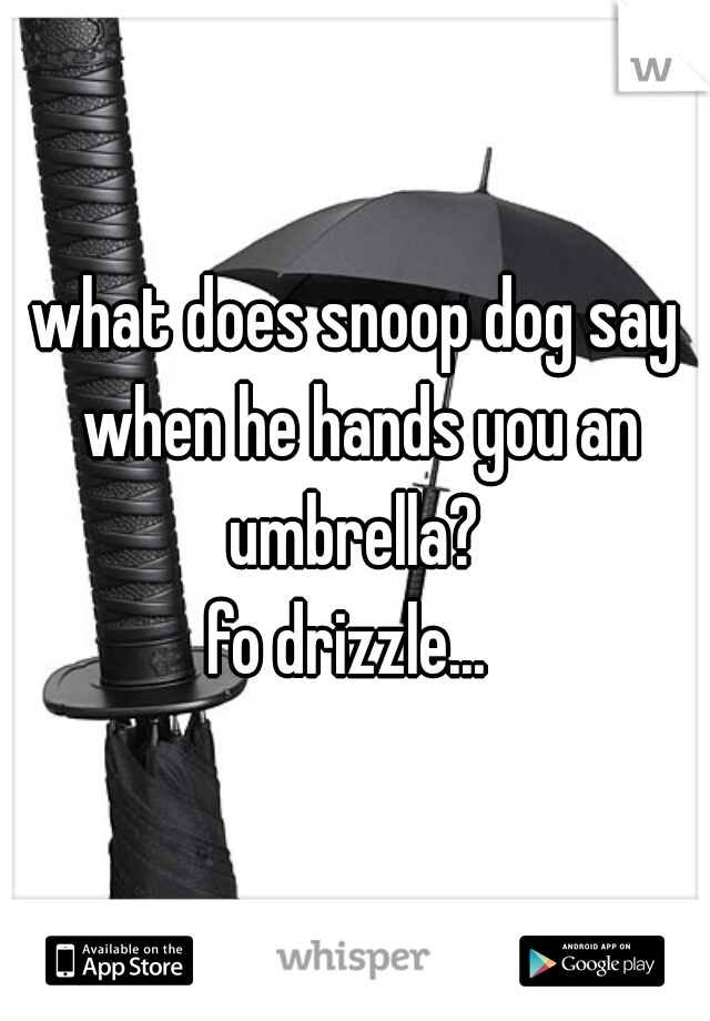 what does snoop dog say when he hands you an umbrella? 

fo drizzle... 