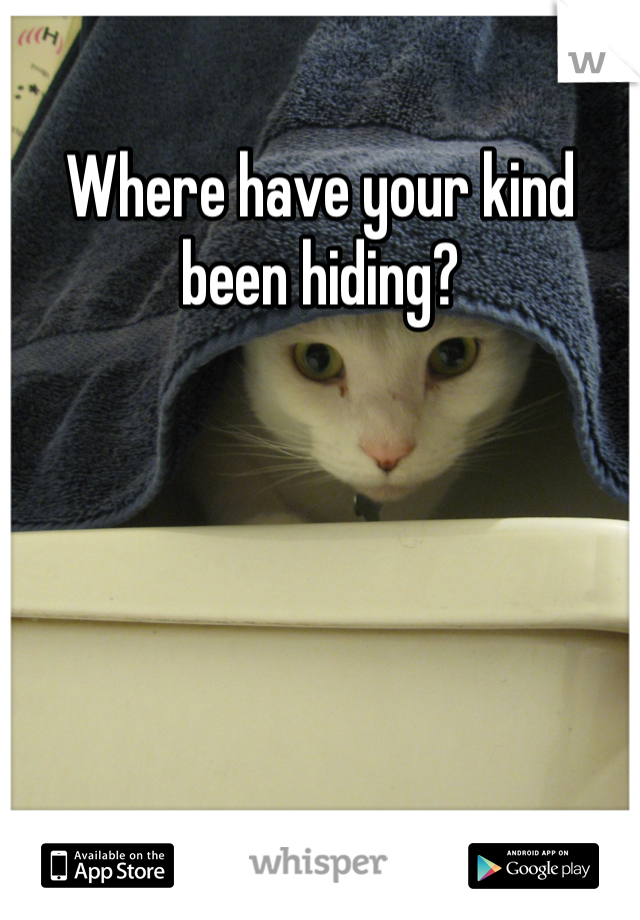 Where have your kind been hiding?